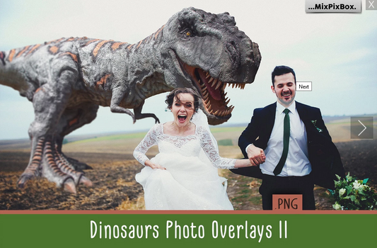 Imagination Photo Overlays & Backdrops, Dinosaur, Fairy Wings, Unicorn, Stage Lights + more!